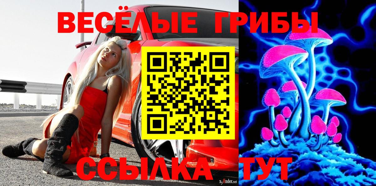 Псилоцибиновые грибы MAGIC MUSHROOMS  Галлюциногенные грибы GOLDEN TEACHER  Вход с VPN  Йошкар-Ола 
