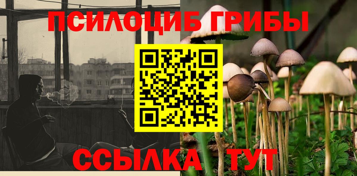 Галлюциногенные грибы мицелий Йошкар-Ола